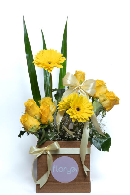 Secret Garden Box